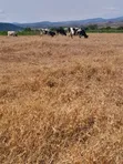 Eneo la Eka 10 Linauzwa Laikipia Magharibi - 2