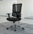 Orthopedic Ergonomic High Back Office Chair - 3