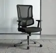 Orthopedic Ergonomic High Back Office Chair - 4