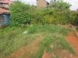 50x100 Plots for Sale in Lower Kabete, Kamutaini - 1
