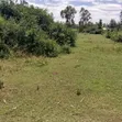 20 Acres Land for Sale in Karen - 2