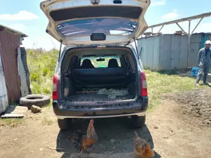 Toyota Probox 2009 Nyeusi