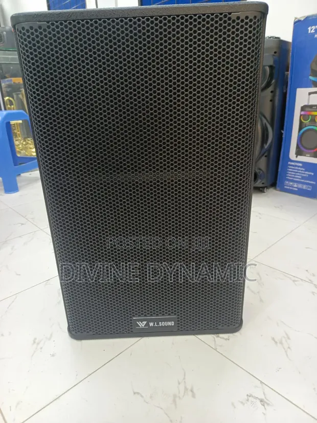 W.L.Sound Complete Midrange Speaker - 1