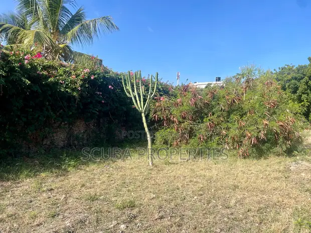 Kitalu Bora cha Nusu Eka Kilicho Na Ukuta kwa Uuzaji Watamu Fragola - 1