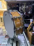 Premier 10 Lug Wooden Snare Drum - 1