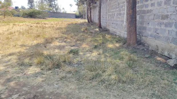 Runda Evergreen 3/4 Acre Residential Plot - 1