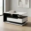 Custom Made Modern Coffee Table - 4