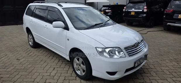 Toyota Corolla Fielder 2006 White - 1