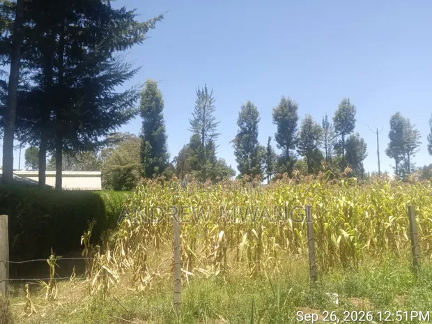 Kiwanja cha 60x100 Kinauzwa Ol Joro Orok - 1