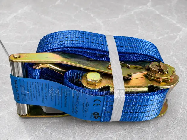 Blue Cargo Lashing Belt - 1