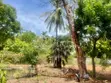 Prime Walled Half Acre Plot for Sale in Watamu Turtle Bay - 3