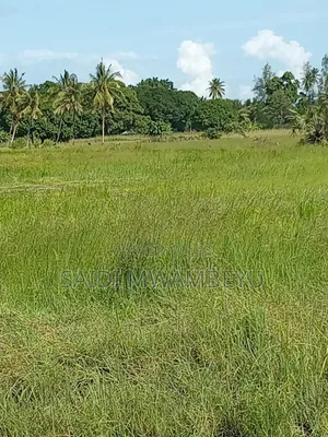 Ardhi Nzuri ya Kilimo Inauzwa Karibu na Lungalunga