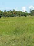 Ardhi Nzuri ya Kilimo Inauzwa Karibu na Lungalunga - 2