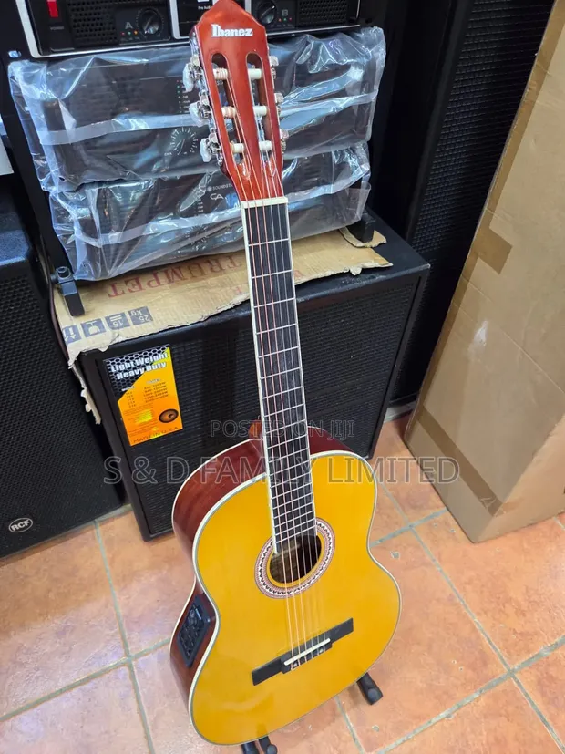 Ibanez Size 40 Semi-Classical Guitar - 1