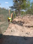 Eneo la Robo Eka na Nyumba Linauzwa Mbeti South - 3
