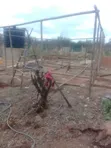 Borehole Drilling & Solar Installation by FARMTECH AFRICA - 5