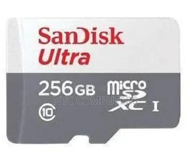 SanDisk Ultra 256GB microSDXC Card - 1