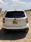 Subaru Forester 2014 Pearl - 5