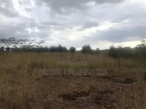 Pristine 8 Acres Adjacent to Nairobi National Park