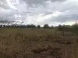 Pristine 8 Acres Adjacent to Nairobi National Park - 1