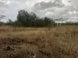 Pristine 8 Acres Adjacent to Nairobi National Park - 2