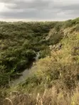 Pristine 8 Acres Adjacent to Nairobi National Park - 3