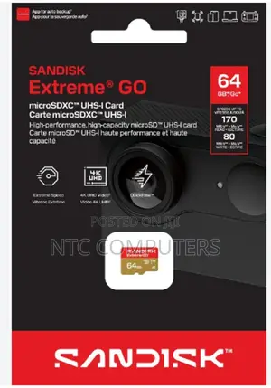 SanDisk Extreme GO 64GB Micro SDXC Card