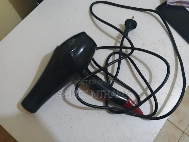 Well-Maintained Salon Blow Dryer - 1