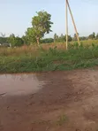 Viwanja vya Ardhi Vinauzwa Mwangwei, Pongwe/Kikoneni - 3