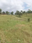 Eka 1 ya Ardhi Inauzwa Mtaani Mavueni - 3