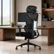 Executive Orthopedic Mesh Swivel Chair - 2