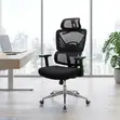 Executive Orthopedic Mesh Swivel Chair - 3