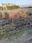 Residential Plot for Sale in Katani, Swara Court - 2