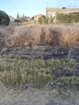 Residential Plot for Sale in Katani, Swara Court - 5