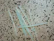 Silicon Glue Sticks - 4