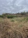 Prime 50x100 Plot Near Tarmac, Magadi Road - 2