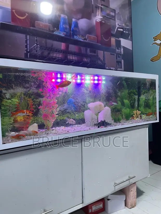 Ukuta wa Mandhari ya Aquarium - 1