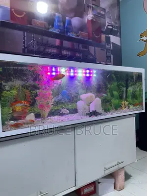 Ukuta wa Mandhari ya Aquarium