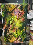 Ukuta wa Mandhari ya Aquarium - 4