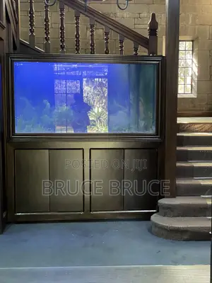 Office Aquarium - 5ft
