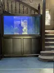 Office Aquarium - 5ft - 1