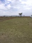 Seven Height Phase 1 - Kiwanja Tayari Kujengwa - 4