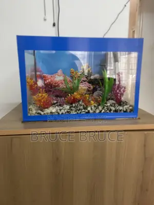 Aquaarium ya Nyumbani ya Lita 30 Iliyobinafsishwa na Samaki 5