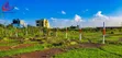 Juja Commercial & Residential Plots for Sale - 1