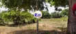 1 Acre Plot in Watamu Gede, Touching Tarmac Road - 1
