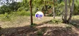 1 Acre Plot in Watamu Gede, Touching Tarmac Road - 3
