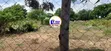 1 Acre Plot in Watamu Gede, Touching Tarmac Road - 5