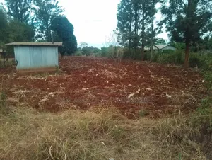 0.26 Hectares Residential Plot for Sale in Rukanga, Makutano