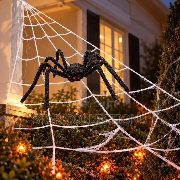 Spider Web Decoration Set - 1