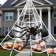 Spider Web Decoration Set - 3